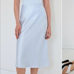 Aritzia Babaton slip midi skirt in shimmer